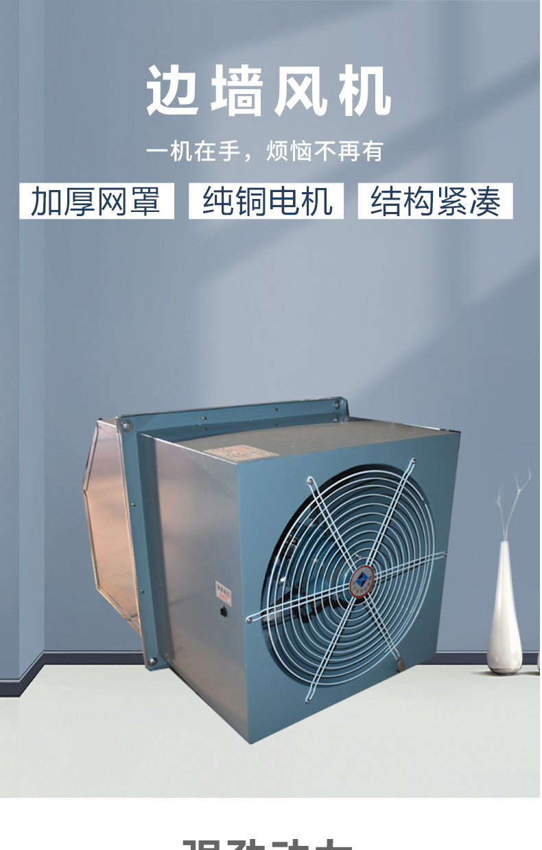 DWEX边墙风机(图1)