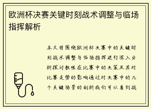 欧洲杯决赛关键时刻战术调整与临场指挥解析