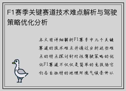 F1赛季关键赛道技术难点解析与驾驶策略优化分析